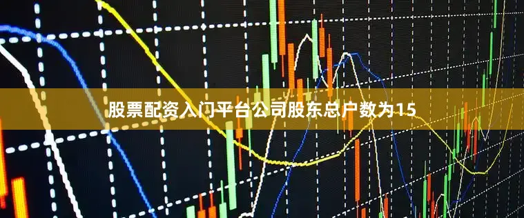 股票配资入门平台公司股东总户数为15