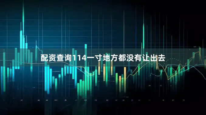 配资查询114一寸地方都没有让出去