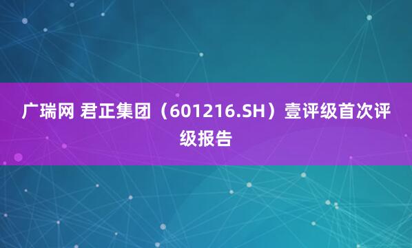广瑞网 君正集团（601216.SH）壹评级首次评级报告
