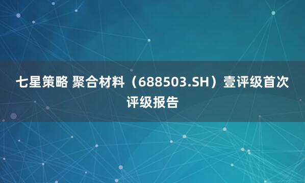 七星策略 聚合材料（688503.SH）壹评级首次评级报告