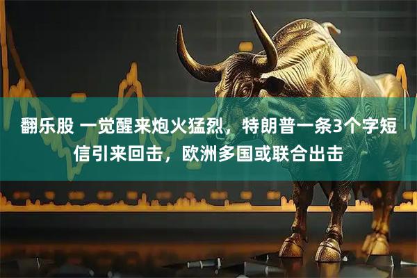 翻乐股 一觉醒来炮火猛烈,特朗普一条3个字短信引来回击,欧洲多国或联合出击