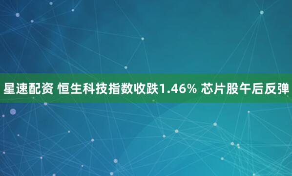 星速配资 恒生科技指数收跌1.46% 芯片股午后反弹