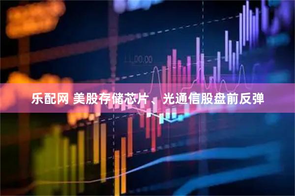 乐配网 美股存储芯片、光通信股盘前反弹