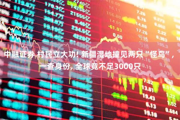 中融证券 村民立大功! 新疆湿地撞见两只“怪鸟”, 一查身份, 全球竟不足3000只