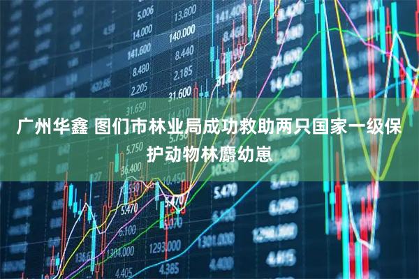 广州华鑫 图们市林业局成功救助两只国家一级保护动物林麝幼崽