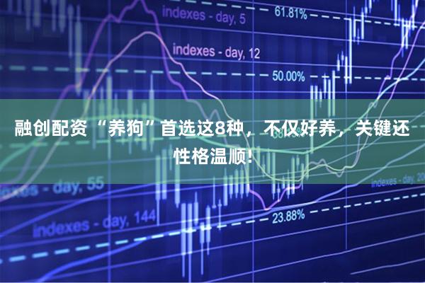 融创配资 “养狗”首选这8种,不仅好养,关键还性格温顺!