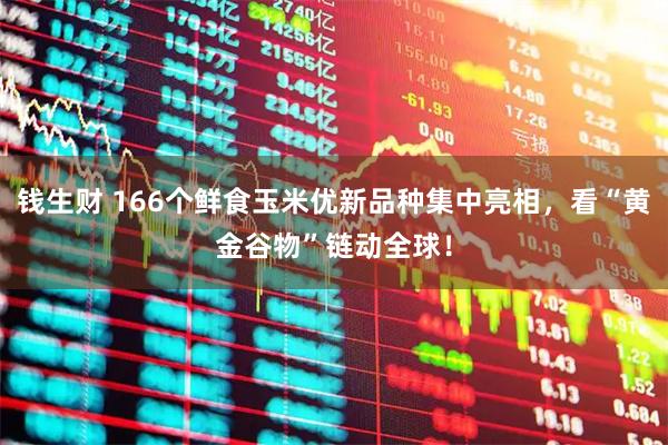钱生财 166个鲜食玉米优新品种集中亮相，看“黄金谷物”链动全球！